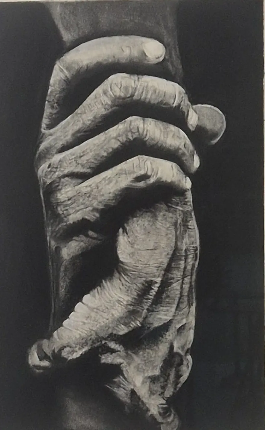 Keeper — hyperrealistic charcoal drawing of elderly hands gripping cloth by Dirk Van Spitaels